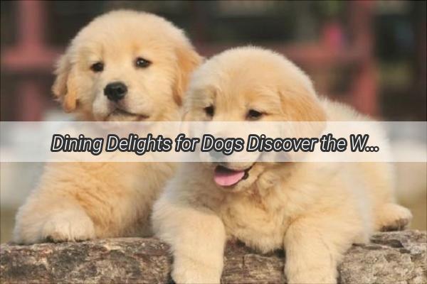  Dining Delights for Dogs Discover the Wide Variety of Herbs Your Pup Can Savor